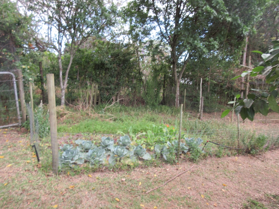 3 Bedroom Property for Sale in Bathurst Eastern Cape